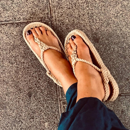 Athena Camel