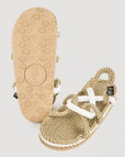 Camel /Clara
